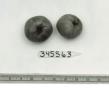 Click for 1 image(s) for this accession. FRUIT